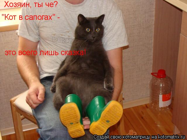 Хозяин, ты че? "Кот в сапогах" - это всего лишь сказка!... Котоматрица: Хозяин, ты че? "Кот в сапогах" - это всего лишь сказка!