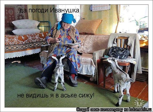 да погоди Иванушка не видишь я в аське сижу!... Котоматрица: да погоди Иванушка не видишь я в аське сижу!