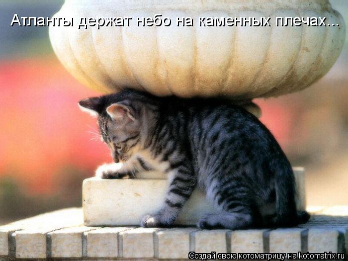 Атланты держат небо на каменных плечах...... Котоматрица: Атланты держат небо на каменных плечах...