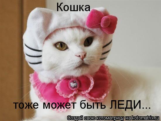 Кошка тоже может быть ЛЕДИ...... Котоматрица: Кошка тоже может быть ЛЕДИ...