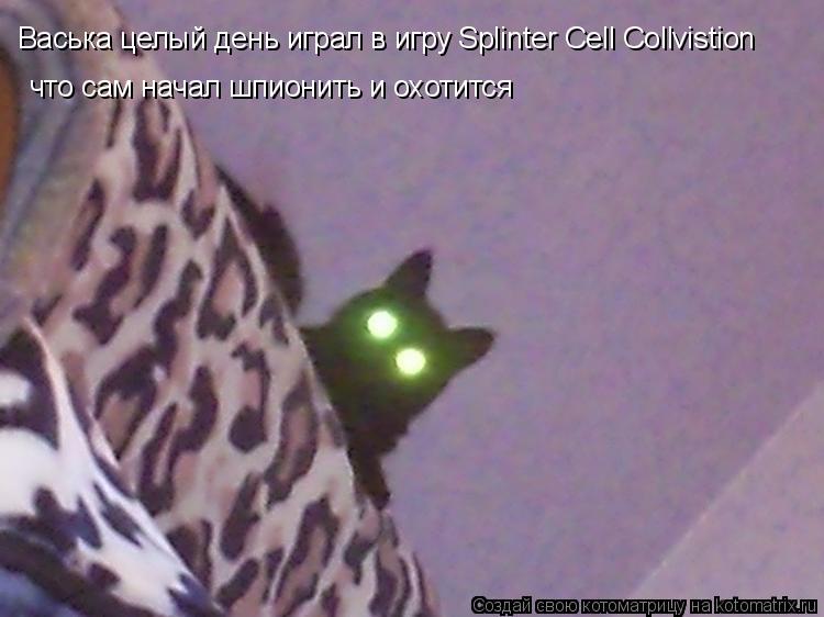 Васька целый день играл в игру Splinter Cell Collvistion что сам начал шпионить и охотится... Котоматрица: Васька целый день играл в игру Splinter Cell Collvistion что сам начал шпионить и охотится