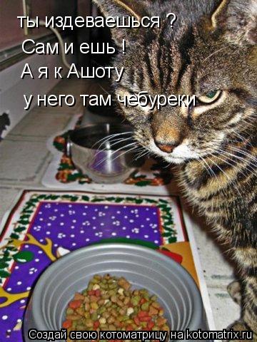 ты издеваешься ? Сам и ешь ! А я к Ашоту у него там чебуреки... Котоматрица: ты издеваешься ? Сам и ешь ! А я к Ашоту у него там чебуреки
