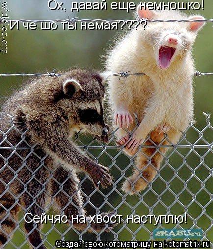 Ох, давай еще немношко! И че шо ты немая???? Сейчяс на хвост наступлю!... Котоматрица: Ох, давай еще немношко! И че шо ты немая???? Сейчяс на хвост наступлю!