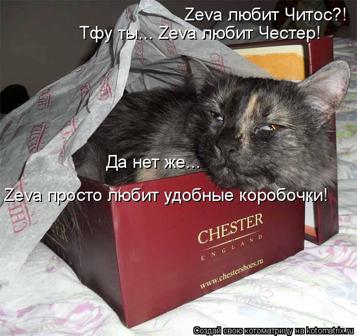 Zeva любит Читос?! Тфу ты... Zeva любит Честер! Да нет же... Zeva просто любит удобные коробочки!... Котоматрица: Zeva любит Читос?! Тфу ты... Zeva любит Честер! Да нет же... Zeva просто любит удобные коробочки!