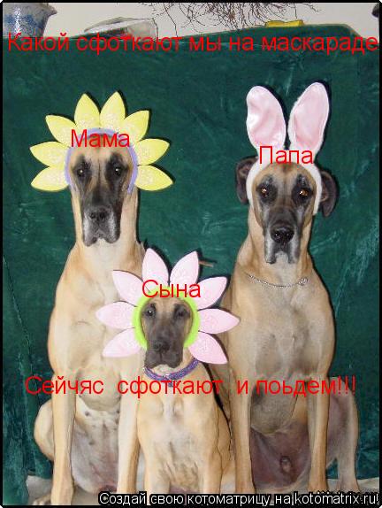 Мама Папа Сына Сейчяс сфоткают и поьдем!!! Какой сфоткают мы на маскараде... Котоматрица: Мама Папа Сына Сейчяс сфоткают и поьдем!!! Какой сфоткают мы на маскараде