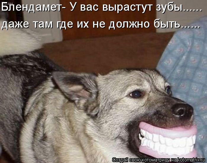 Котоматрица: Блендамет- У вас вырастут зубы...... даже там где их не должно быть......