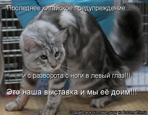 Котоматрица: Последнее китайское предупреждение... ... и с разворота с ноги в левый глаз!!! Это наша выставка и мы её доим!!!
