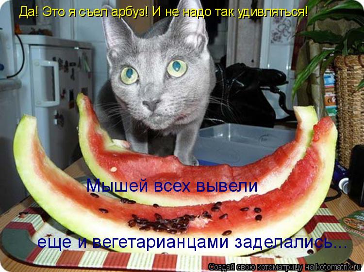 Да! Это я съел арбуз! И не надо так удивляться! Мышей всех вывели еще и вегетарианцами заделались...... Котоматрица: Да! Это я съел арбуз! И не надо так удивляться! Мышей всех вывели еще и вегетарианцами заделались...