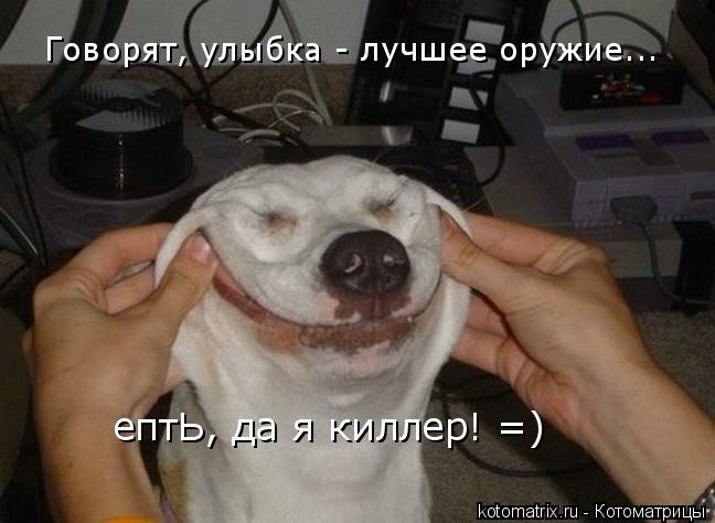 Говорят, улыбка - лучшее оружие... ептЬ, да я киллер! =)... Котоматрица: Говорят, улыбка - лучшее оружие... ептЬ, да я киллер! =)