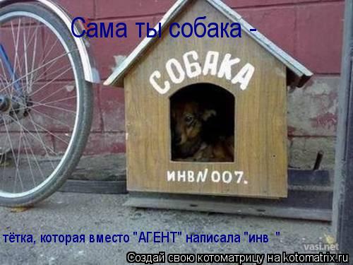 Сама ты собака - тётка, которая вместо "АГЕНТ" написала "инв№№"... Котоматрица: Сама ты собака - тётка, которая вместо "АГЕНТ" написала "инв№№"