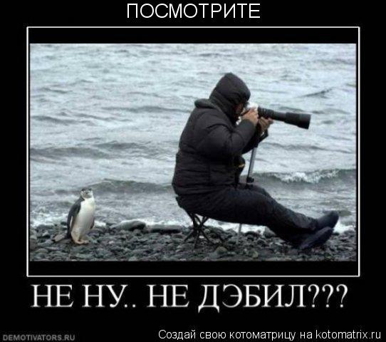 ПОСМОТРИТЕ... Котоматрица: ПОСМОТРИТЕ