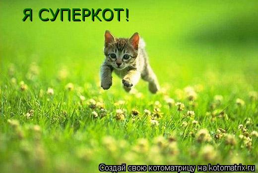 Я СУПЕРКОТ!... Котоматрица: Я СУПЕРКОТ!