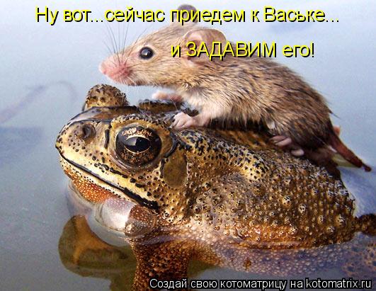Ну вот...сейчас приедем к Ваське... и ЗАДАВИМ его!... Котоматрица: Ну вот...сейчас приедем к Ваське... и ЗАДАВИМ его!