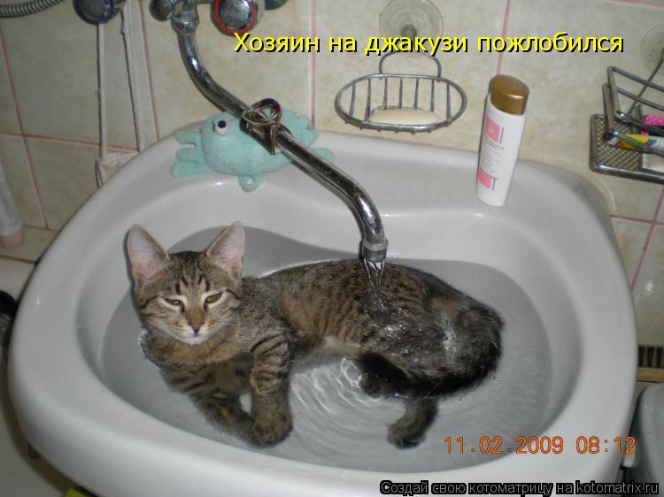 Хозяин на джакузи пожлобился... Котоматрица: Хозяин на джакузи пожлобился