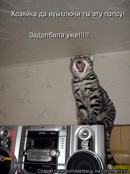 Хозяйка да вуыключи ты эту попсу! Задолбала уже!!!!!... Котоматрица: Хозяйка да вуыключи ты эту попсу! Задолбала уже!!!!!