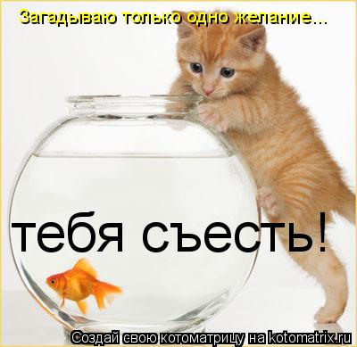 Загадываю только одно желание... тебя съесть!... Котоматрица: Загадываю только одно желание... тебя съесть!