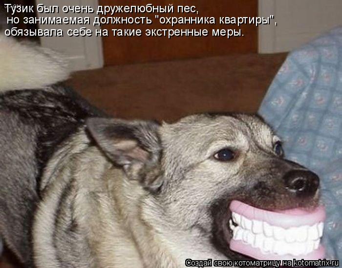 Тузик был очень дружелюбный пес, но занимаемая должность "охранника квартиры", обязывала себе на таки... Котоматрица: Тузик был очень дружелюбный пес, но занимаемая должность "охранника квартиры", обязывала себе на такие экстренные меры.