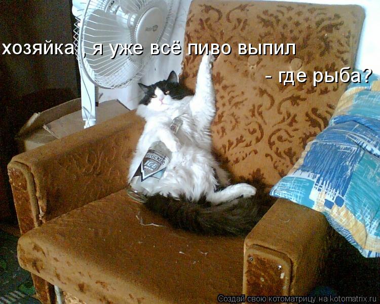 хозяйка , я уже всё пиво выпил - где рыба? хозяйка , я уже всё пиво выпил - где рыба?... Котоматрица: хозяйка , я уже всё пиво выпил - где рыба? хозяйка , я уже всё пиво выпил - где рыба?