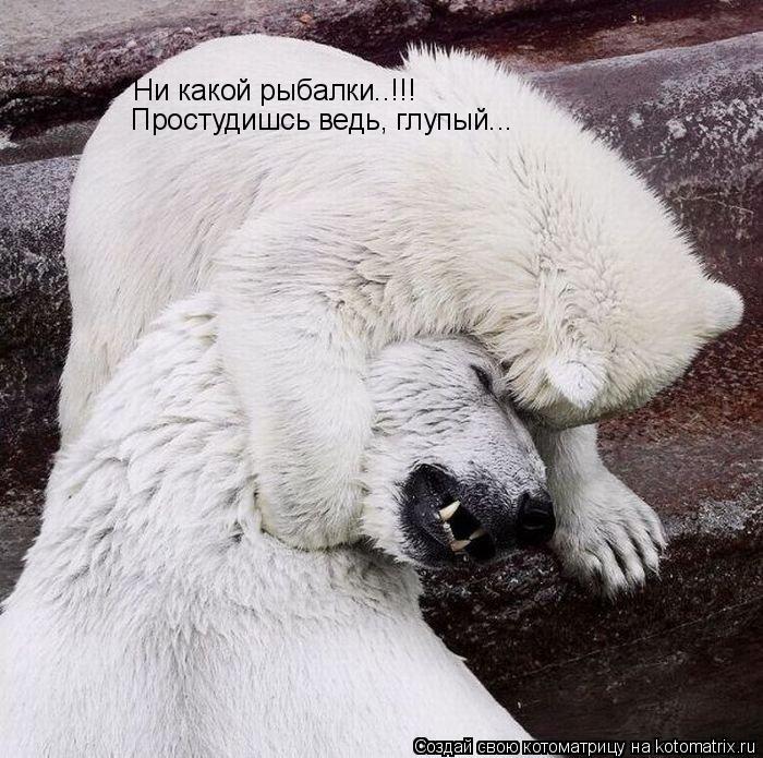 Ни какой рыбалки..!!! Простудишсь ведь, глупый...... Котоматрица: Ни какой рыбалки..!!! Простудишсь ведь, глупый...