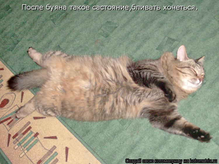 После буяна такое састояние,бливать хочеться.... Котоматрица: После буяна такое састояние,бливать хочеться.