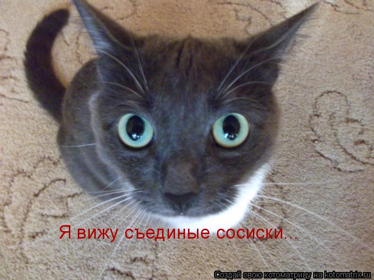 Я вижу съединые сосиски...... Котоматрица: Я вижу съединые сосиски...