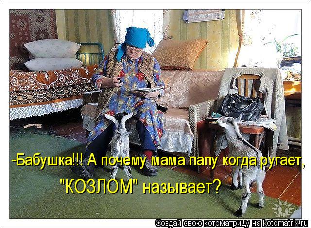 -Бабушка!!! А почему мама папу когда ругает, "КОЗЛОМ" называет?... Котоматрица: -Бабушка!!! А почему мама папу когда ругает, "КОЗЛОМ" называет?