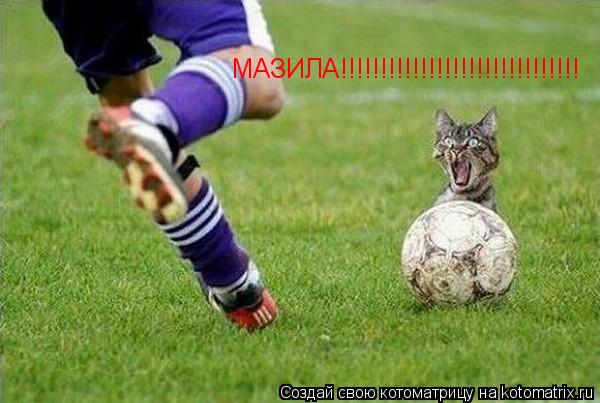 МАЗИЛА!!!!!!!!!!!!!!!!!!!!!!!!!!!!!!... Котоматрица: МАЗИЛА!!!!!!!!!!!!!!!!!!!!!!!!!!!!!!