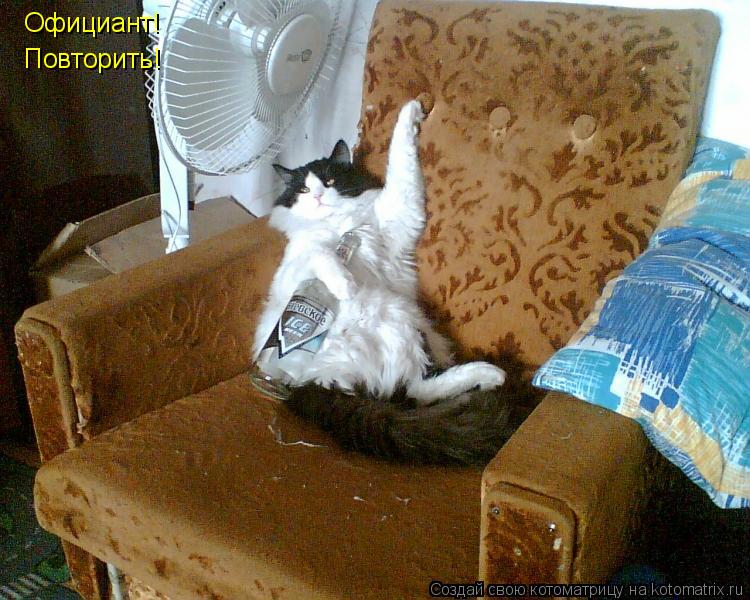 Официант! Повторить!... Котоматрица: Официант! Повторить!