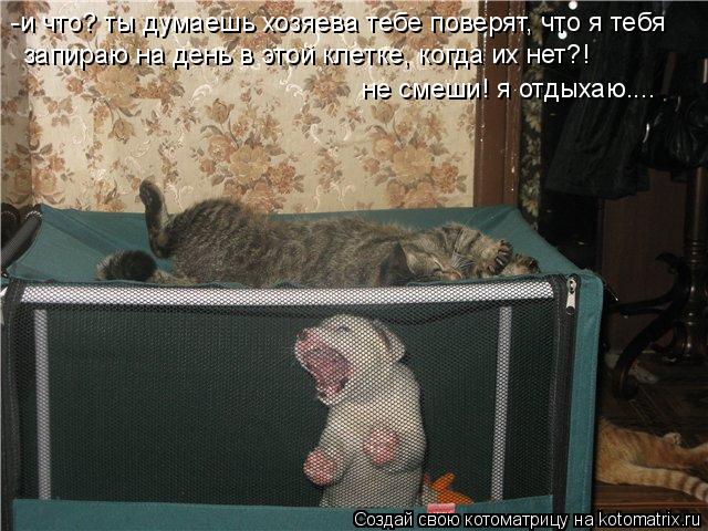 -и что? ты думаешь хозяева тебе поверят, что я тебя запираю на день в этой клетке, когда их нет?! не ... Котоматрица: -и что? ты думаешь хозяева тебе поверят, что я тебя запираю на день в этой клетке, когда их нет?! не смеши! я отдыхаю....