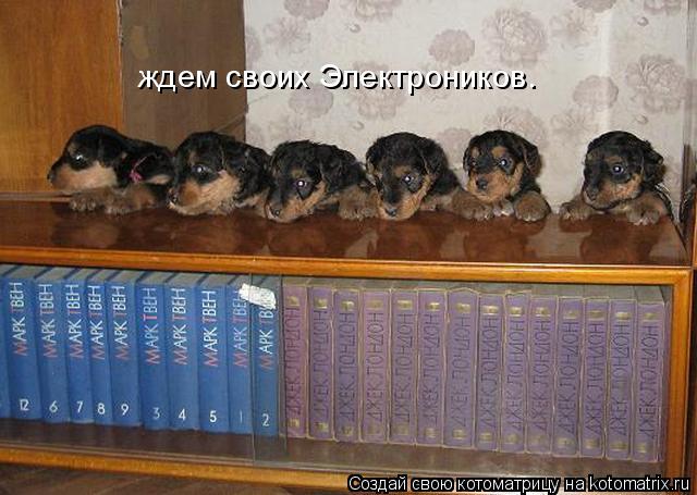 ждем своих Электроников.... Котоматрица: ждем своих Электроников.