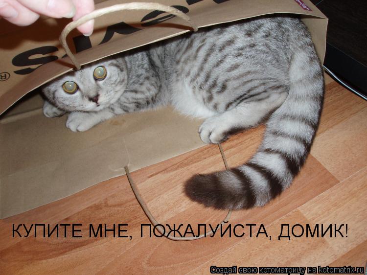 КУПИТЕ МНЕ, ПОЖАЛУЙСТА, ДОМИК! КУПИТЕ МНЕ, ПОЖАЛУЙСТА, ДОМИК!... Котоматрица: КУПИТЕ МНЕ, ПОЖАЛУЙСТА, ДОМИК! КУПИТЕ МНЕ, ПОЖАЛУЙСТА, ДОМИК!
