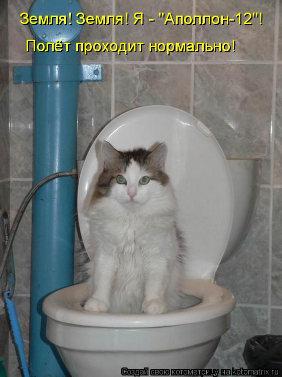 Земля! Земля! Я - "Аполлон-12"! Полёт проходит нормально!... Котоматрица: Земля! Земля! Я - "Аполлон-12"! Полёт проходит нормально!