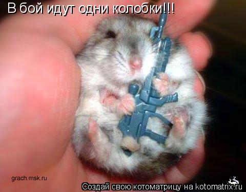 В бой идут одни колобки!!!... Котоматрица: В бой идут одни колобки!!!