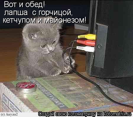 Вот и обед! лапша с горчицой, кетчупом и майонезом!... Котоматрица: Вот и обед! лапша с горчицой, кетчупом и майонезом!
