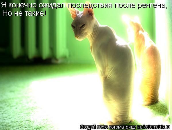 Я конечно ожидал последствия после ренгена, Но не такие!... Котоматрица: Я конечно ожидал последствия после ренгена, Но не такие!