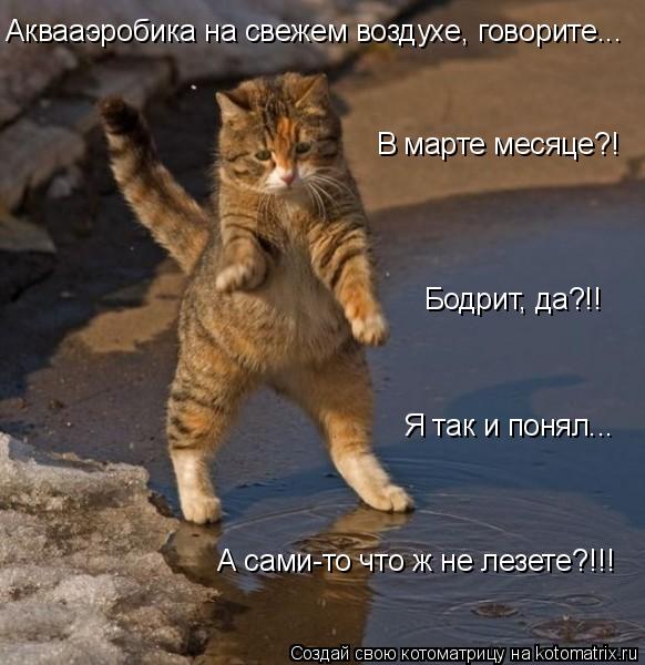 Аквааэробика на свежем воздухе, говорите... В марте месяце?! Бодрит, да?!! А сами-то что ж не лезете?... Котоматрица: Аквааэробика на свежем воздухе, говорите... В марте месяце?! Бодрит, да?!! А сами-то что ж не лезете?!!! Я так и понял...