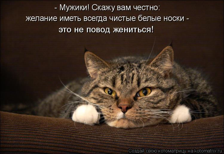 Котоматрица: - Мужики! Скажу вам честно: желание иметь всегда чистые белые носки -  это не повод жениться!