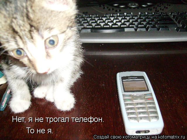 Нет, я не трогал телефон. То не я.... Котоматрица: Нет, я не трогал телефон. То не я.