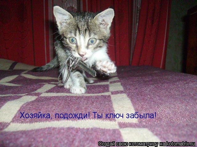 Хозяйка, подожди! Ты ключ забыла!... Котоматрица: Хозяйка, подожди! Ты ключ забыла!