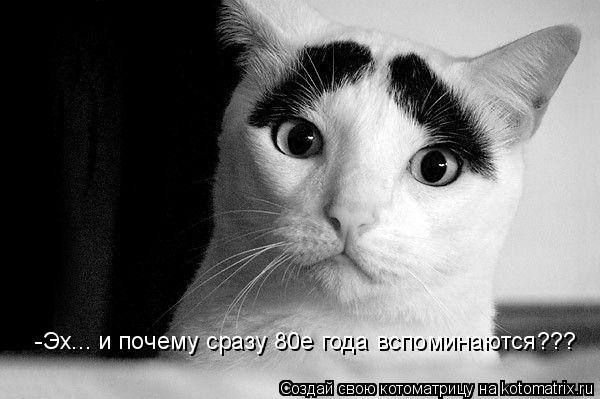 -Эх... и почему сразу 80е года вспоминаются???... Котоматрица: -Эх... и почему сразу 80е года вспоминаются???