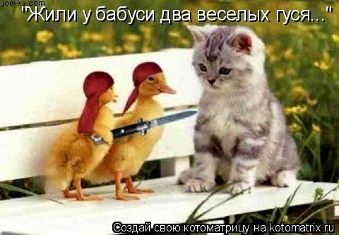"Жили у бабуси два веселых гуся..."... Котоматрица: "Жили у бабуси два веселых гуся..."