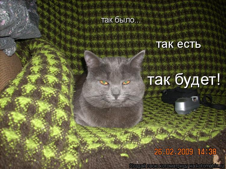 так было... так есть так будет!... Котоматрица: так было... так есть так будет!