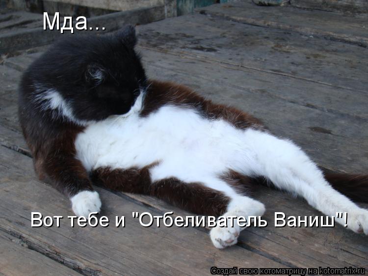 Мда... Вот тебе и "Отбеливатель Ваниш"!... Котоматрица: Мда... Вот тебе и "Отбеливатель Ваниш"!