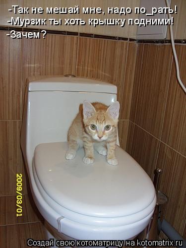 -Так не мешай мне, надо по_рать! -Мурзик ты хоть крышку подними! -Зачем?... Котоматрица: -Так не мешай мне, надо по_рать! -Мурзик ты хоть крышку подними! -Зачем?