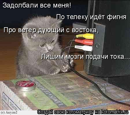 Задолбали все меня! По телеку идёт фигня Про ветер дующий с востока, Лишим мозги подачи тока...... Котоматрица: Задолбали все меня! По телеку идёт фигня Про ветер дующий с востока, Лишим мозги подачи тока...