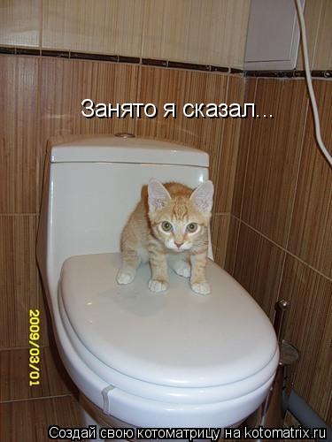 Занято я сказал...... Котоматрица: Занято я сказал...