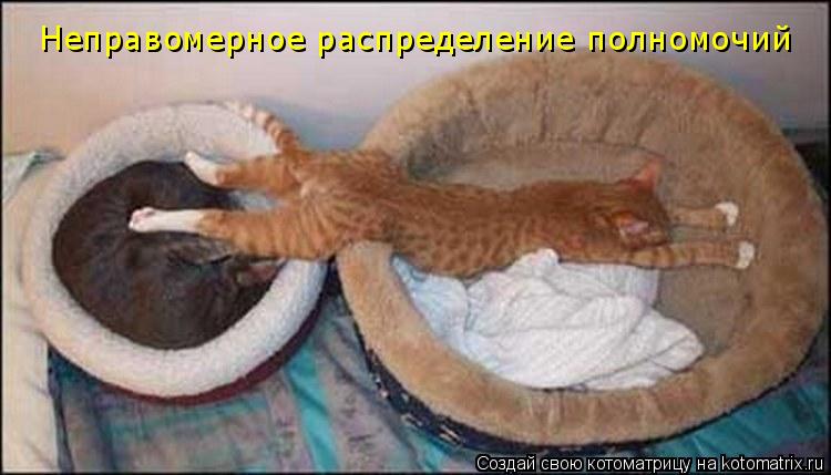 Неправомерное распределение полномочий... Котоматрица: Неправомерное распределение полномочий