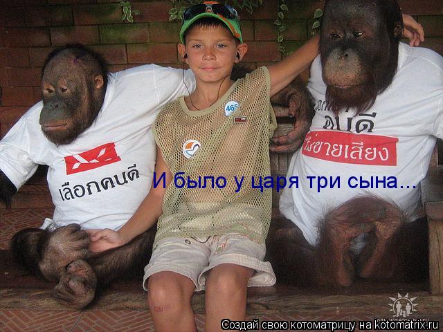 И было у царя три сына...... Котоматрица: И было у царя три сына...