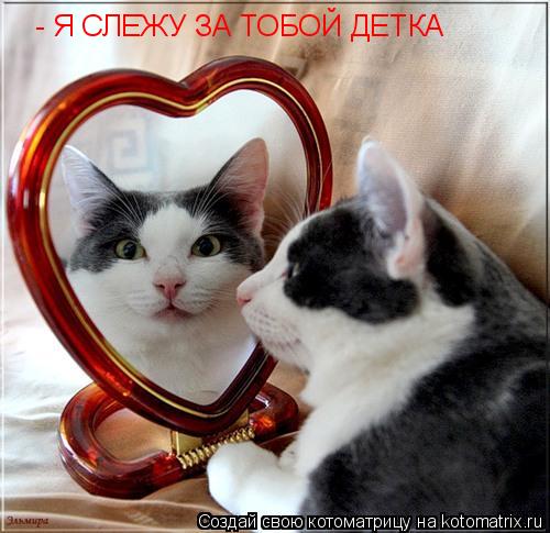 - Я СЛЕЖУ ЗА ТОБОЙ ДЕТКА... Котоматрица: - Я СЛЕЖУ ЗА ТОБОЙ ДЕТКА