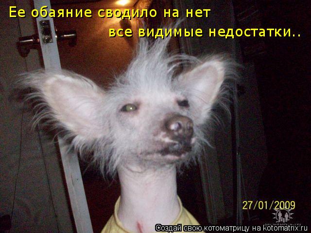 Ее обаяние сводило на нет все видимые недостатки..... Котоматрица: Ее обаяние сводило на нет все видимые недостатки..
